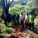 mutirinho_2020-02-16--7f0be0febf257fae0